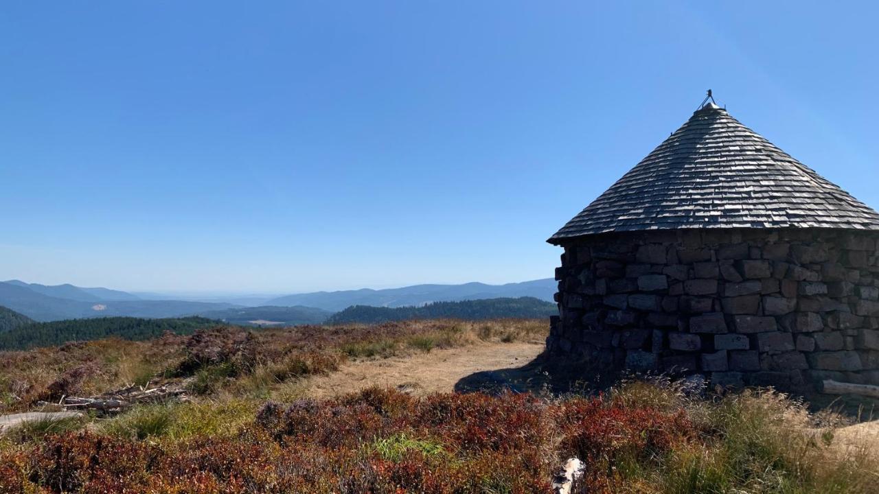 Chalet L Ecrin Vert Plaine Buitenkant foto