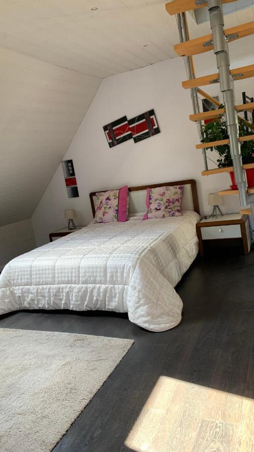 Chalet L Ecrin Vert Plaine Buitenkant foto